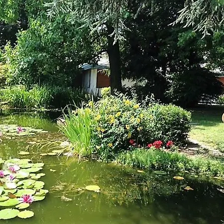 Luxury With Pool And Tennis Court Vila Cavallasca